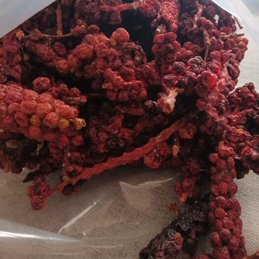 维西县五味子