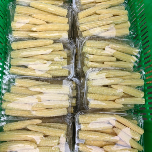 深圳玉米笋（盒装）
