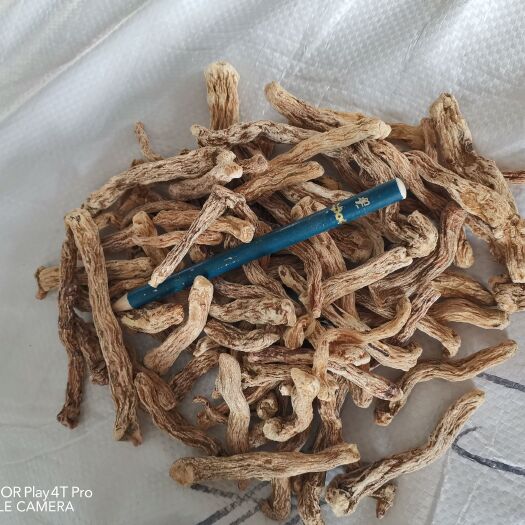 丹东东北产地玉竹