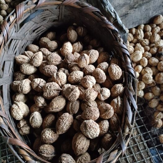 漾濞县紫衣核桃。