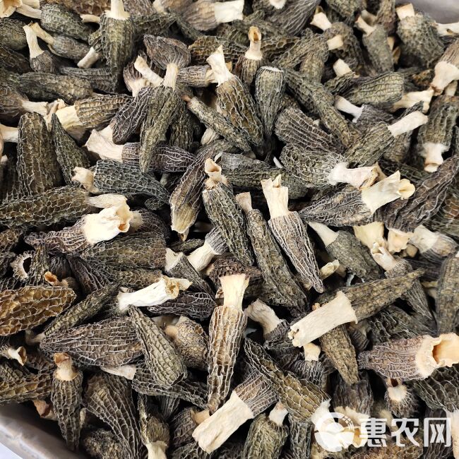 羊肚菌干货煲汤食材滋补菌类特产