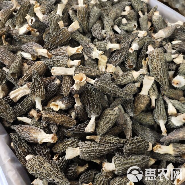 羊肚菌干货煲汤食材滋补菌类特产