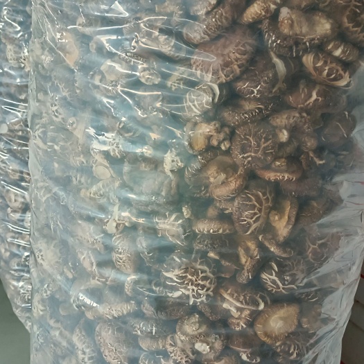 临清市剪脚花菇，香菇