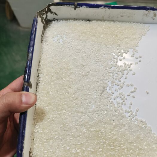 南陵县圆糯阴米，三道抛光，碎米少，精度高，出仓选白