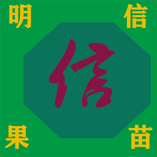 王明信的店