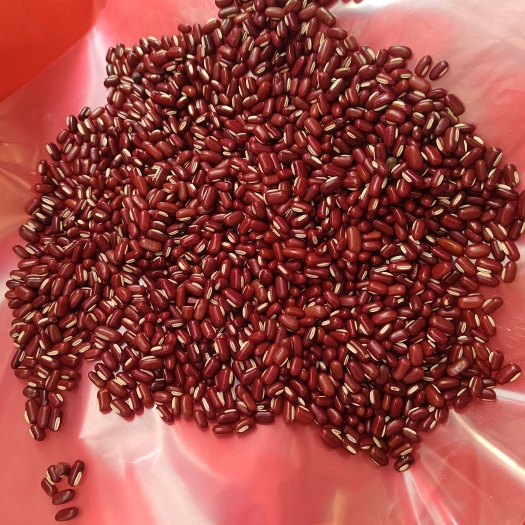赤小豆煲粥煲汤的好材料