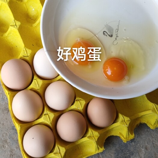 霍邱县安徽霍邱粉8土鸡蛋