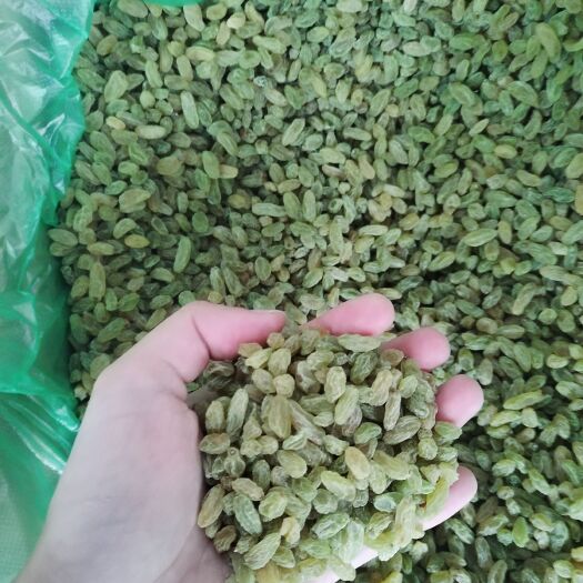 吐鲁番小颗粒葡萄干奶茶冰粉食品加工专用（100克380~420粒）