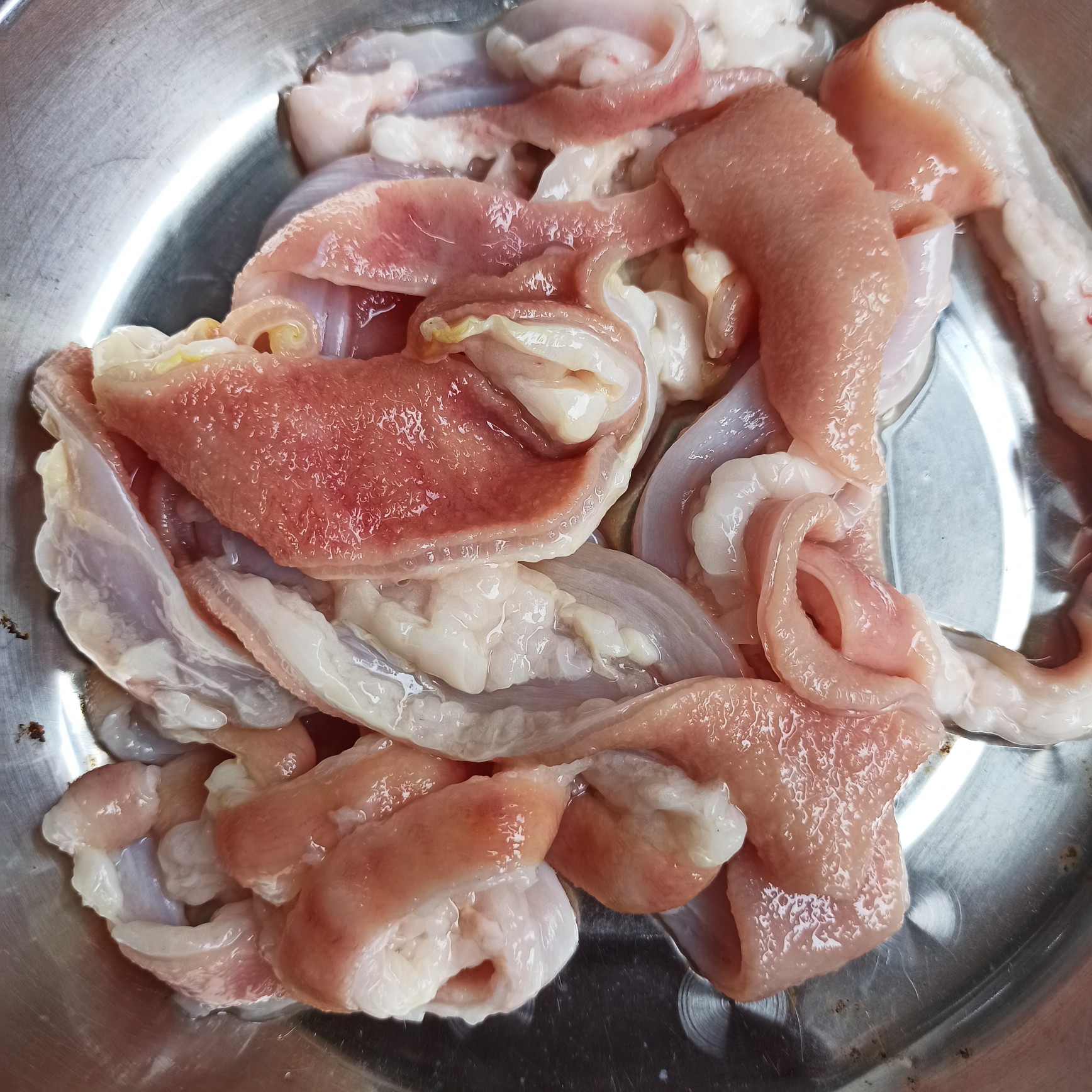 鳄鱼肠 爽脆鳄鱼肠 酒楼特色菜