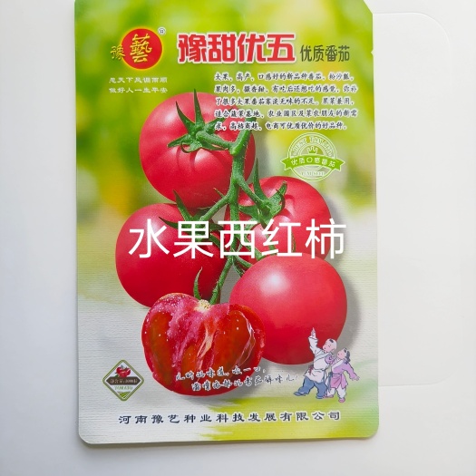 豫甜优五优质番茄种子大果型囗感好粉沙瓤无型大果280克