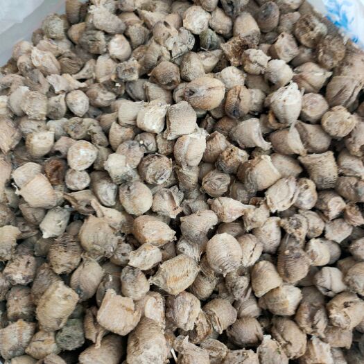 西安中药材桑螵蛸，么多少了 通货需要价格优惠……