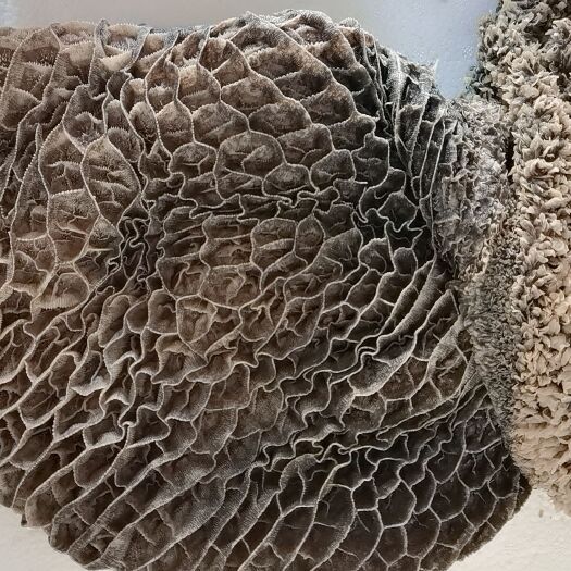 南昌县纯干黑牛肚
