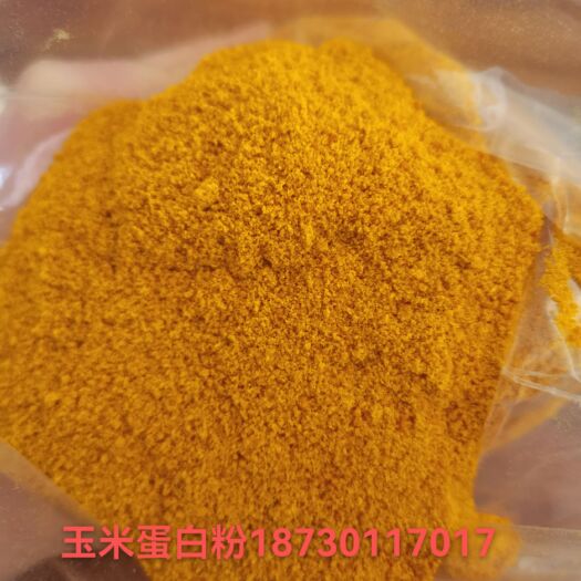 石家庄玉米蛋白粉，蛋白粉，小肽蛋白粉，菌体蛋白