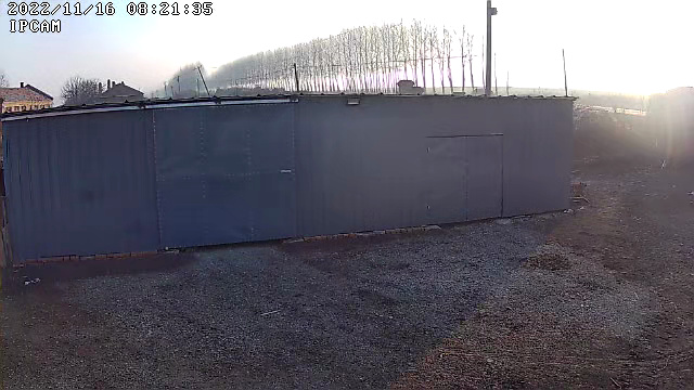 绥化大豆东生1号