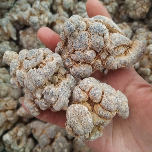 .批发云南文山三七头个田七500克包邮三七片三七根条泡水煮汤