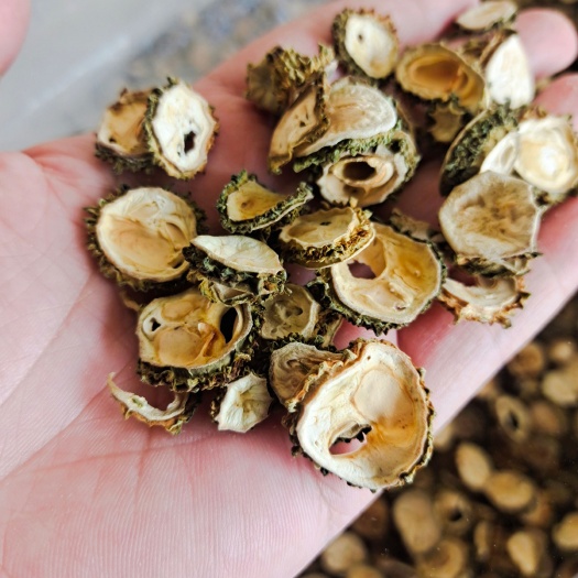 南靖县小苦瓜切片