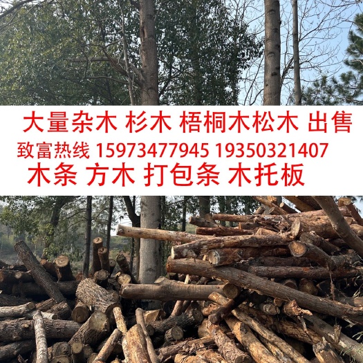 耒阳市杂木，打包木条，衫木，梧桐木，风木，油松。