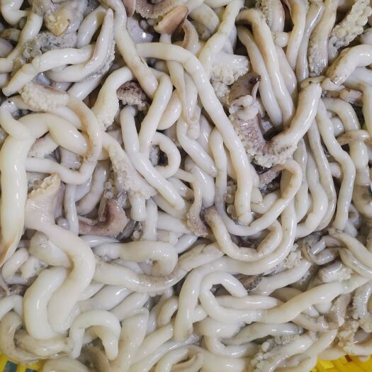 北海墨鱼 墨鱼爪墨鱼长须