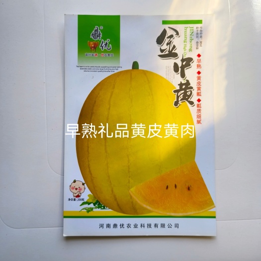 扶沟县金中黄黄皮黄瓤礼品西瓜种子品质好口感好抗病经济效益高