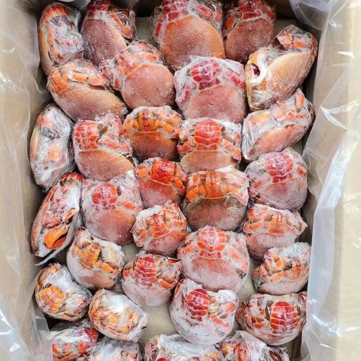 成都老虎蟹   干冰