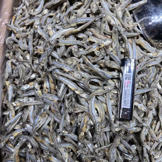 广州公鱼干