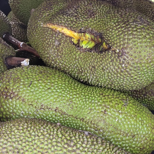 菠萝蜜次货
