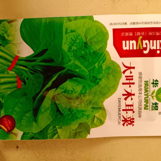 济南大叶木耳菜种子，蔬菜种子
