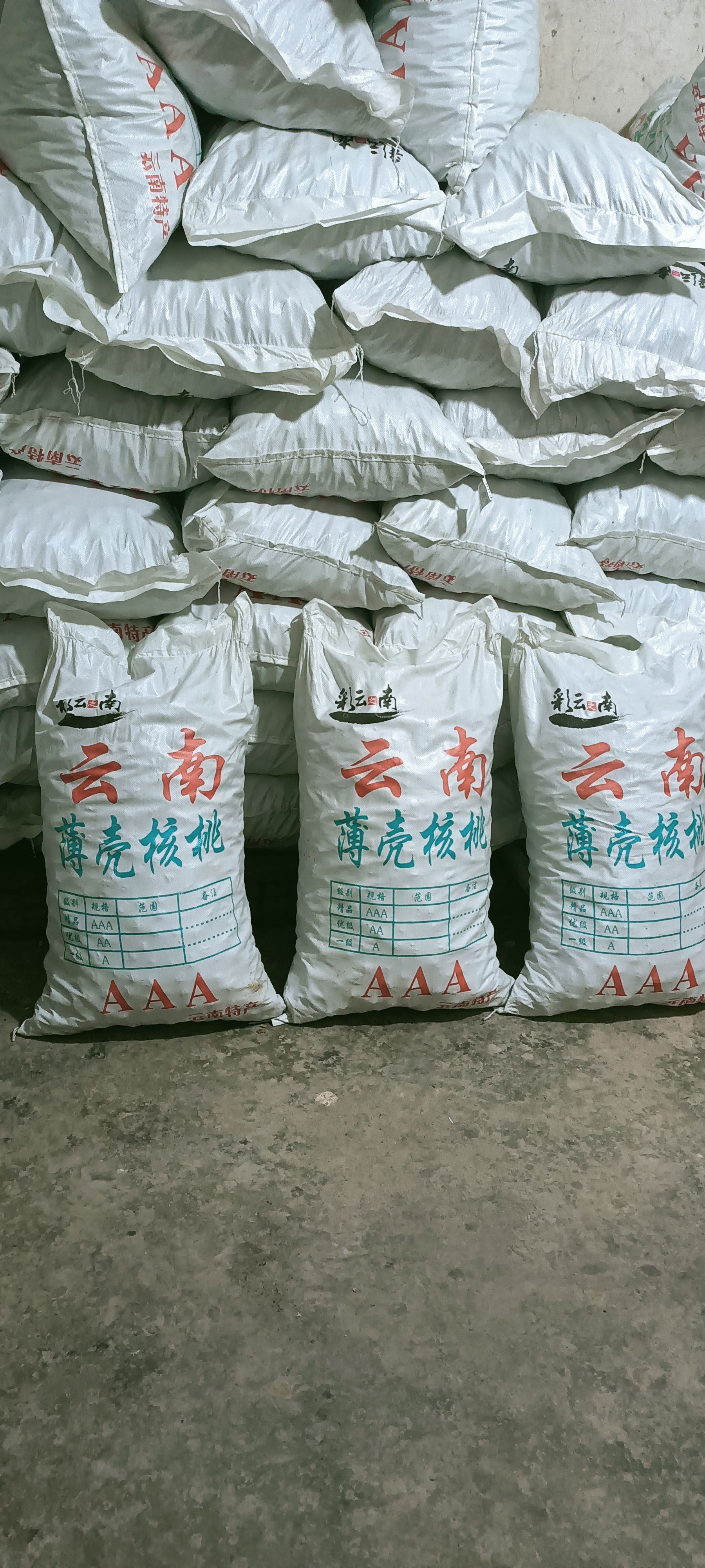 2024年云南高山薄皮麻子核桃 纸皮香甜核桃 真实基地直发。