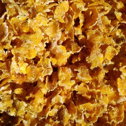 海伦市牛羊用蒸汽压片玉米熟化饲料，吸收率涨势快。