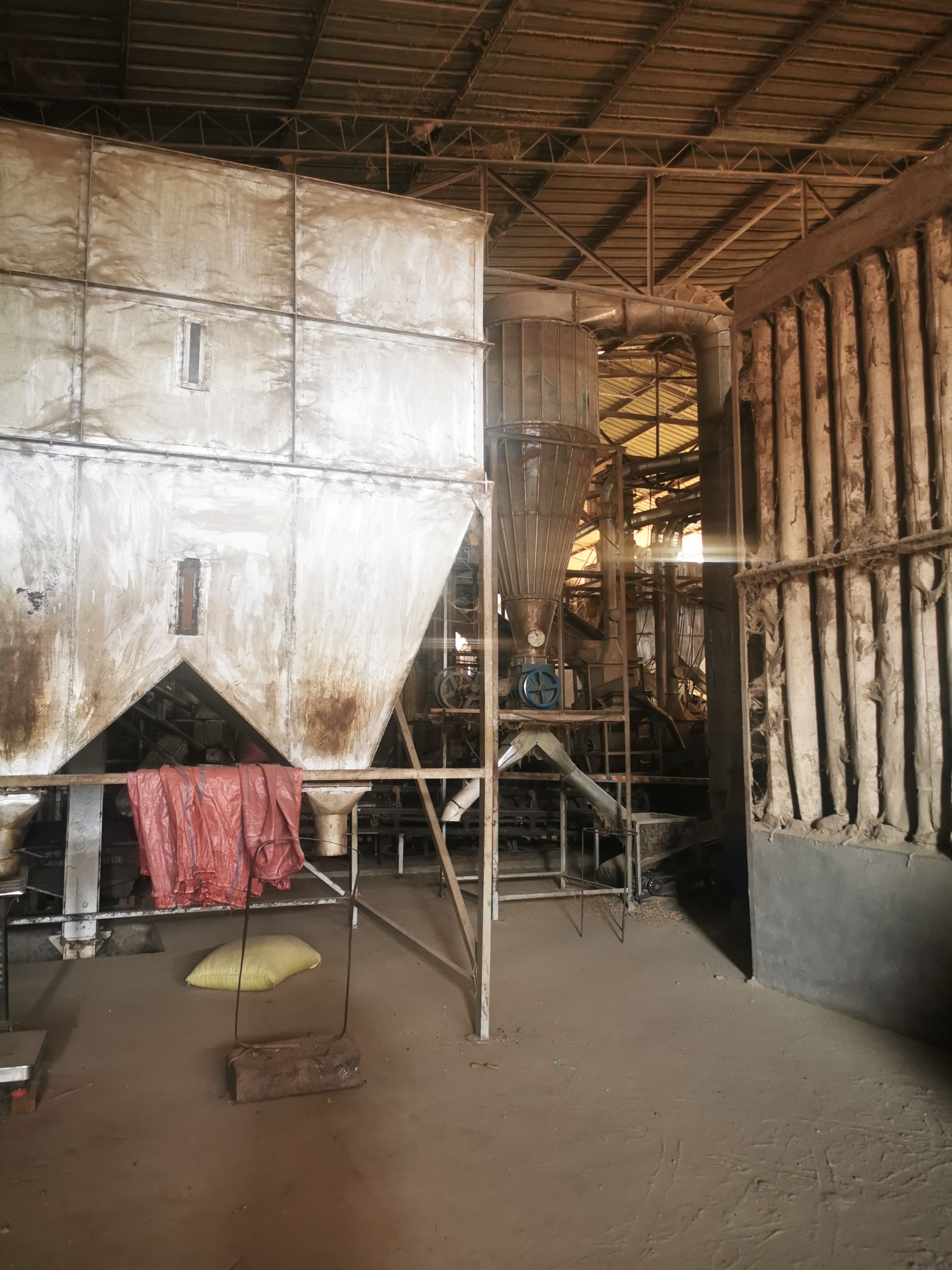 老挝薏米仁，黄米，白米大量过供货