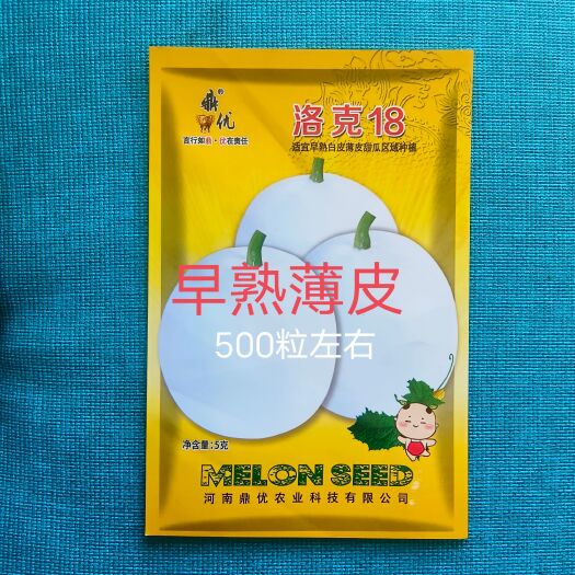扶沟县洛克18白皮白肉甜瓜种子早熟薄皮圆形抗病高糖春露地种植