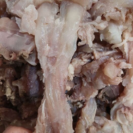 牛蹄筋，熟牛副筋，干净无牛毛，每天新货加工