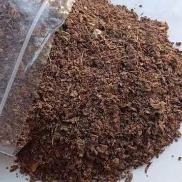 滨州脱胶不脱水苹果渣晾晒中