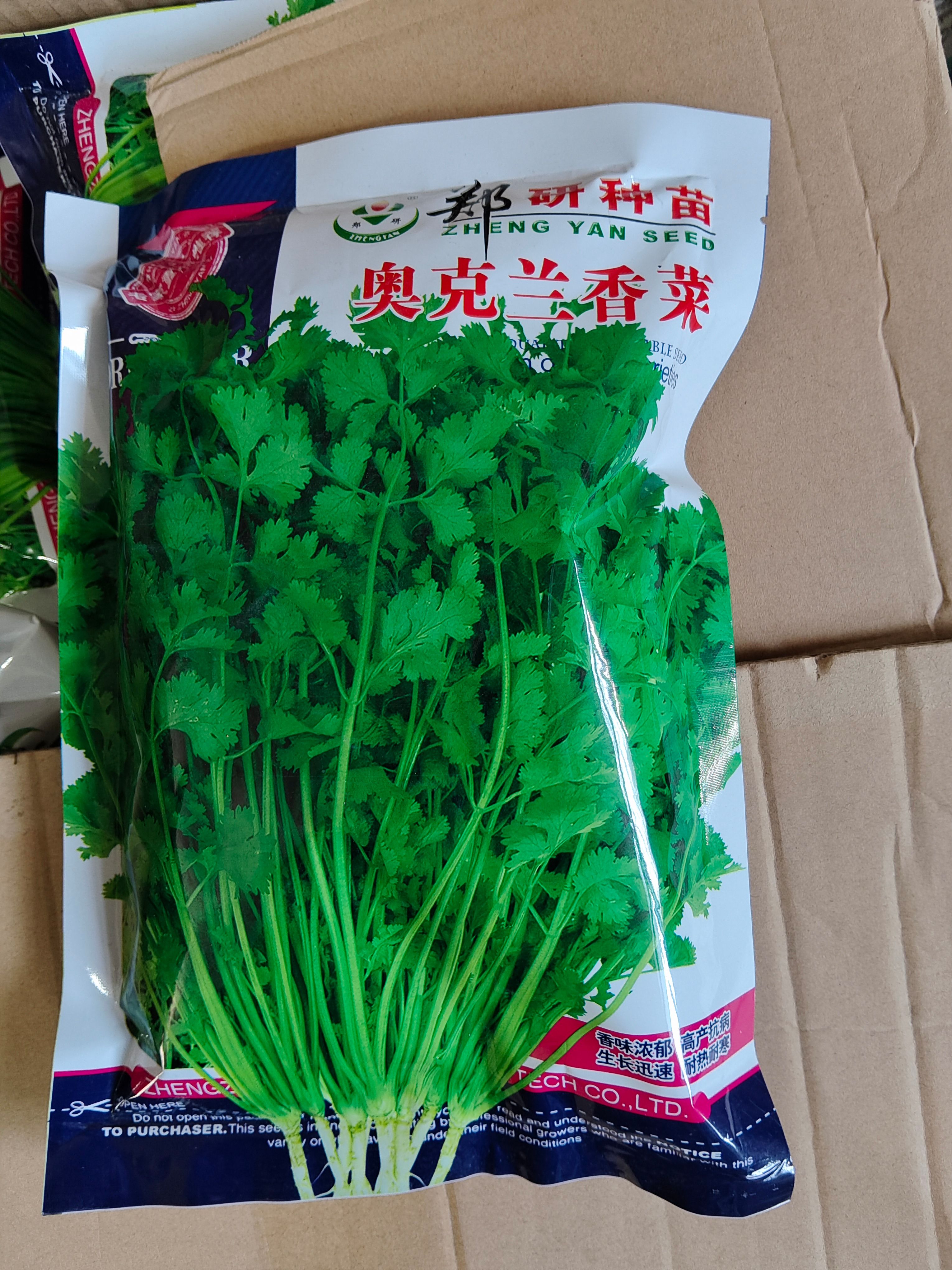 夏邑县郑研香菜种子，叶片大，颜色鲜绿，香味浓，耐抽苔，抗逆性较好，