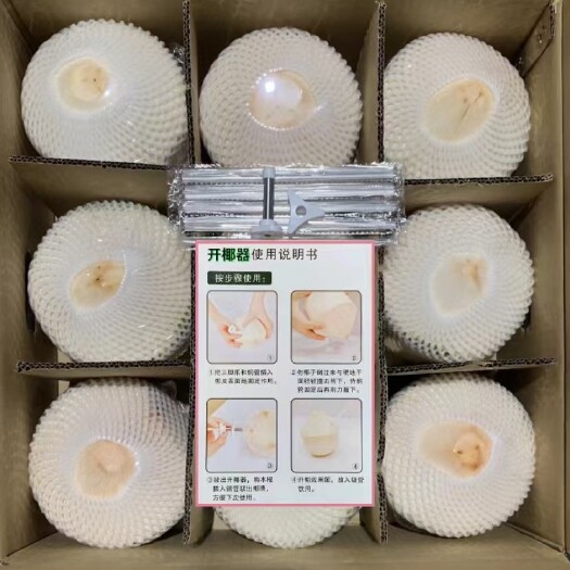 文昌市【源头厂家】海南椰青文昌东郊椰子4/6/9三种规格大量有货