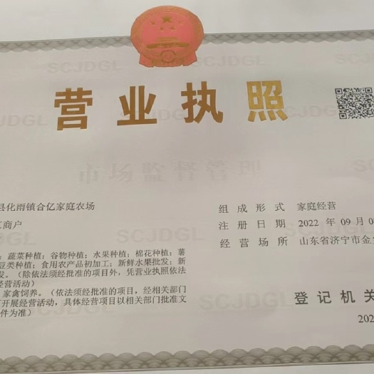 金乡县大红公鸡脱温鸡，青年鸡出售