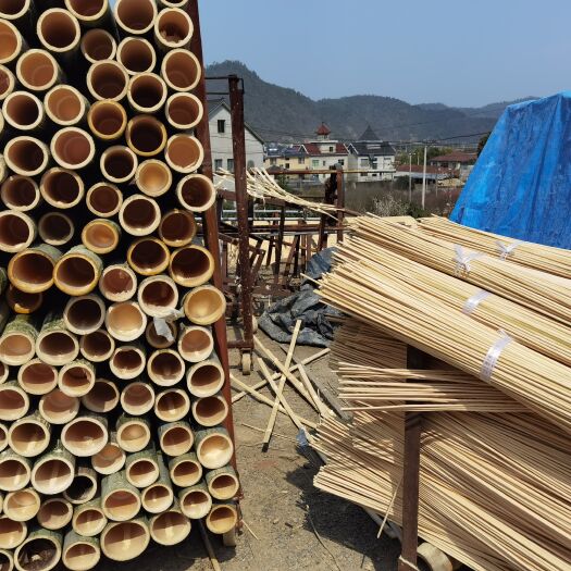 桐庐县大量毛竹供应。欢迎采购