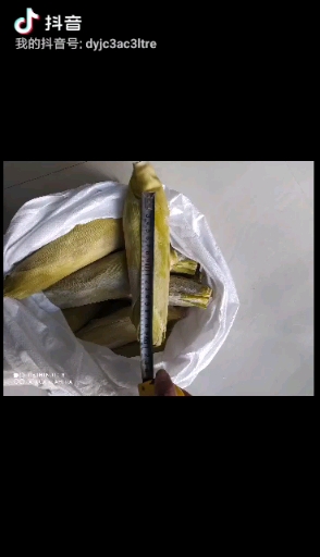青州粘糯玉米