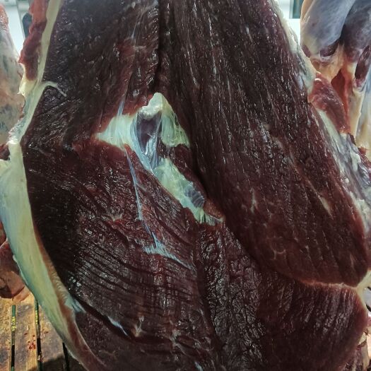 南京肉蒙新鲜黄牛肉