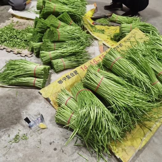 睢宁县芦蒿精品