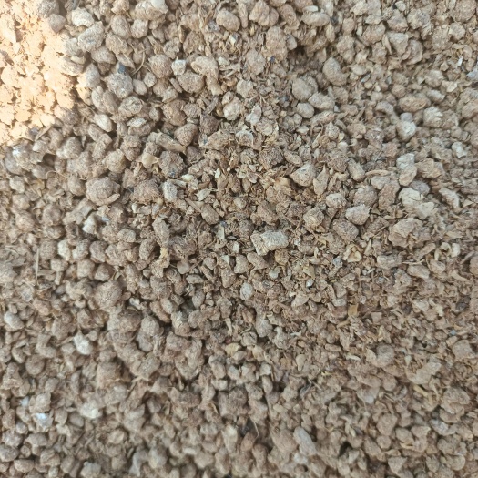 新乐市晾晒蘑菇菌渣