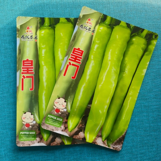 扶沟县皇门羊角形黄绿皮辣椒种子连续坐果强抗病经济效益可观