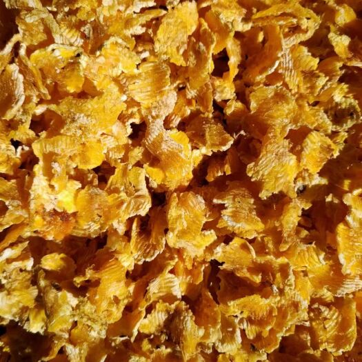 海伦市牛羊用高温熟化压片玉米，适口性好吸收率转化高。养殖好帮手。