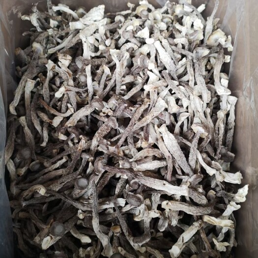 精品鹿茸菇，广昌茶树菇，广昌通芯白莲，菌汤包，全国发货