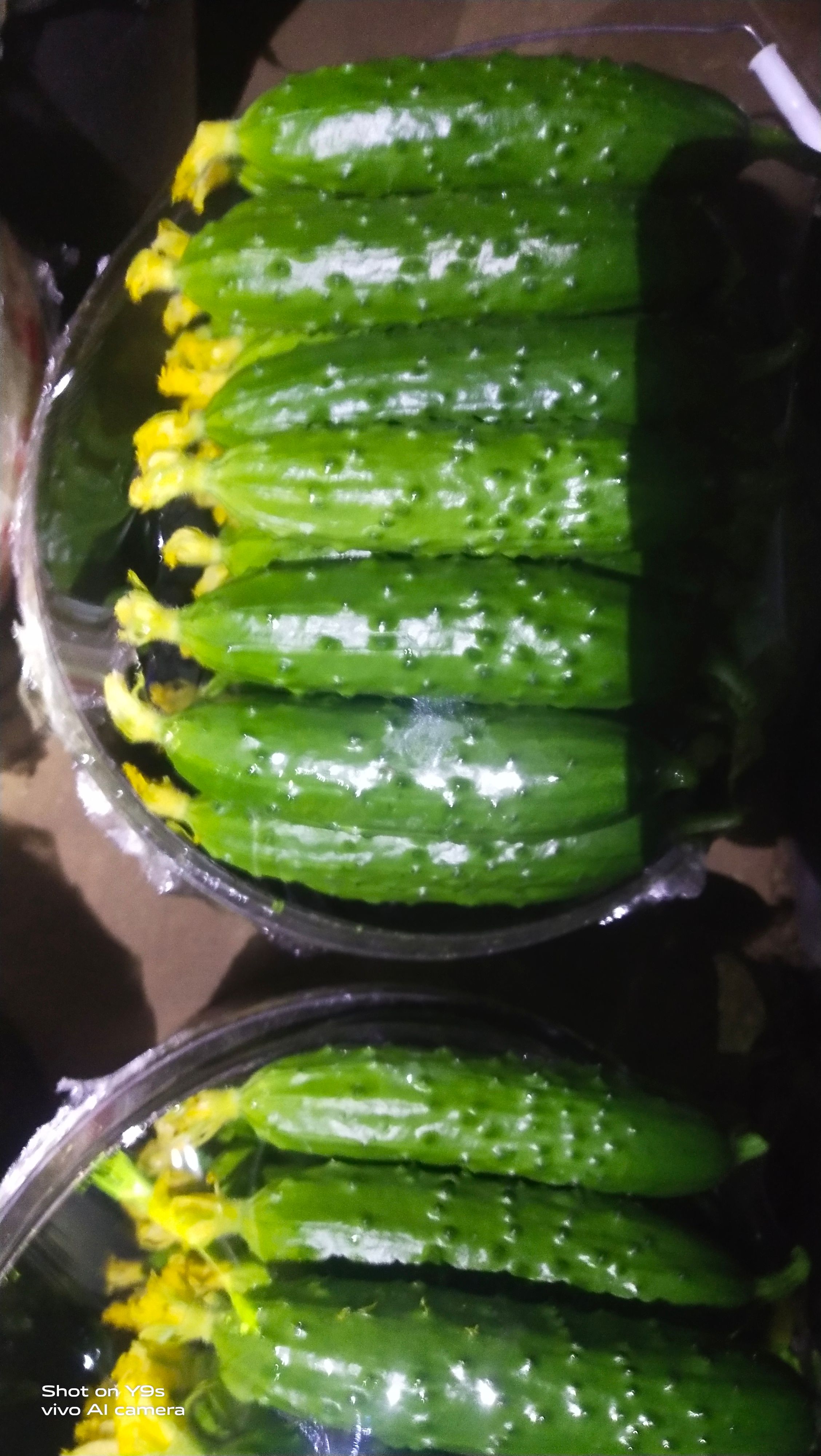 水果黄瓜