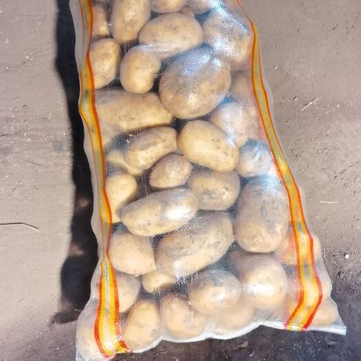 呼伦贝尔沃土五号质优价廉产地直发