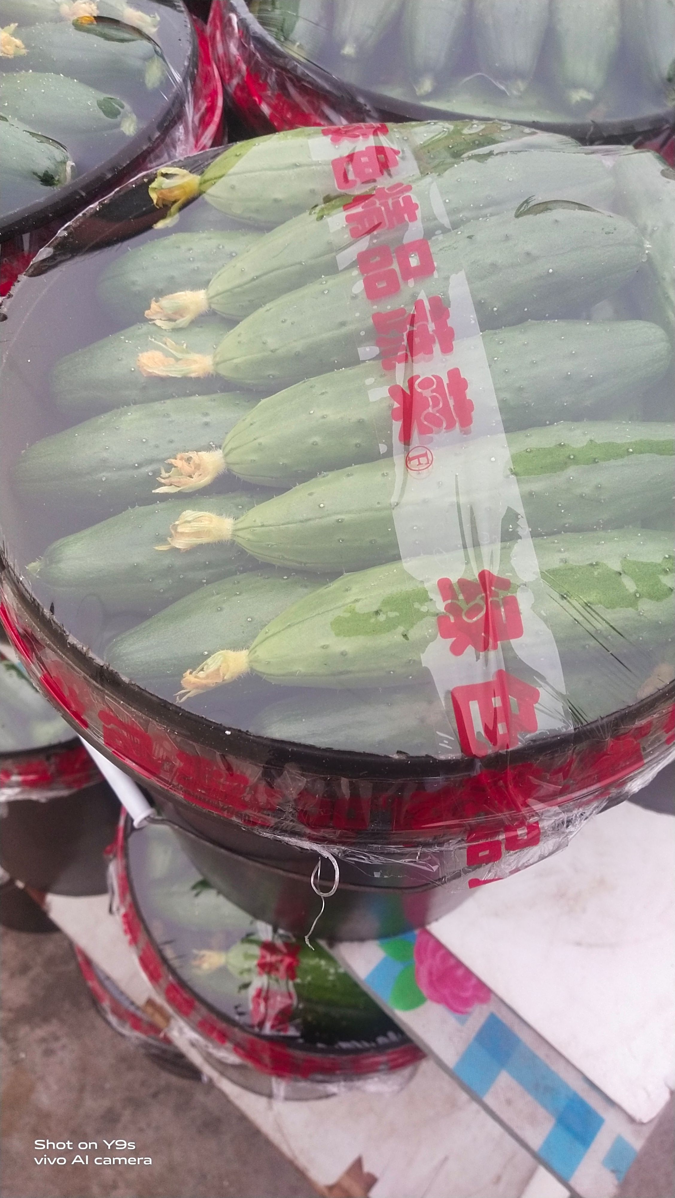 水果黄瓜