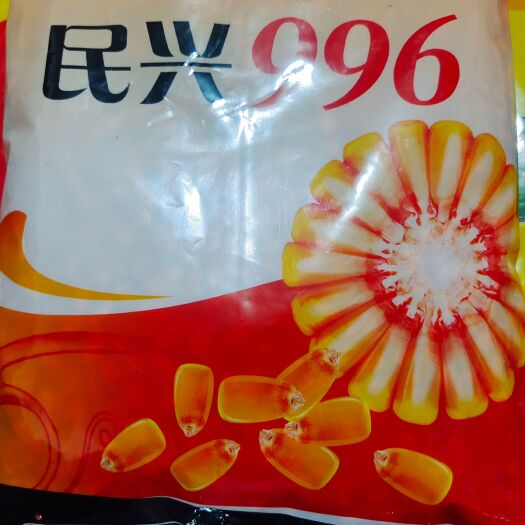 肃宁县玉米种子