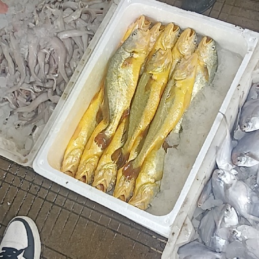 舟山海鲜