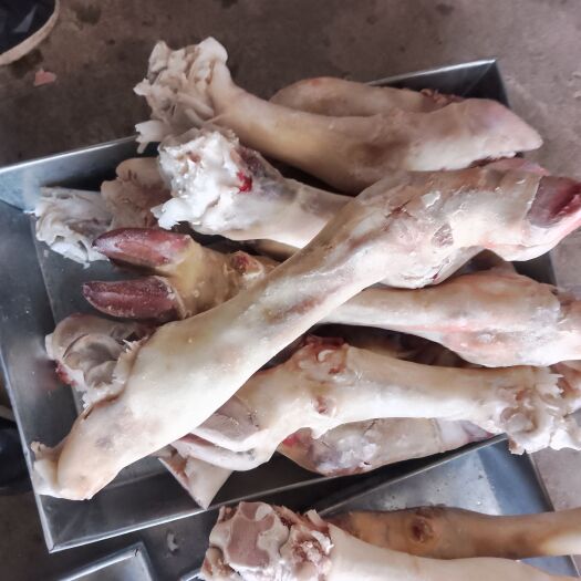 牛蹄，牛蹄切块